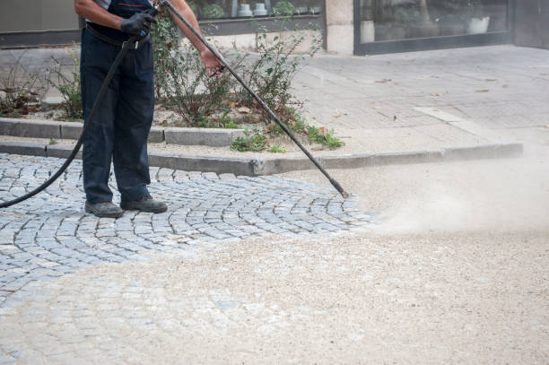 Best Gutter Cleaning  in Melwood, MD